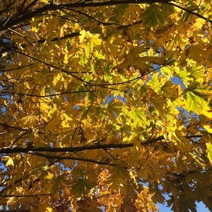 Meet your Posher, Isabelle